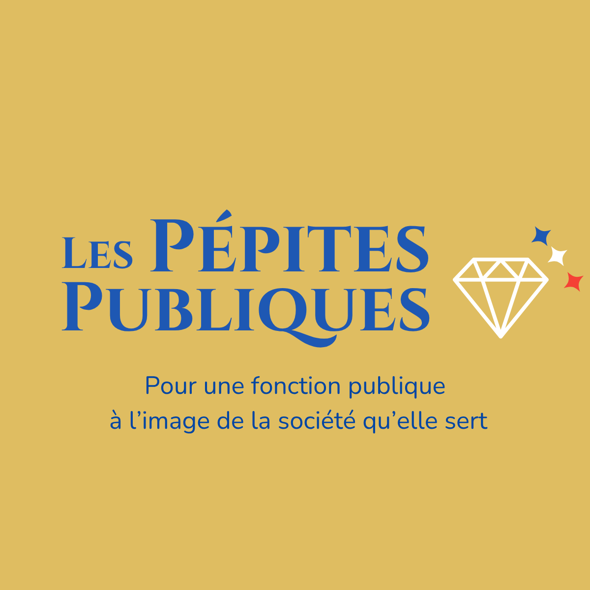 Les Pépites Publiques